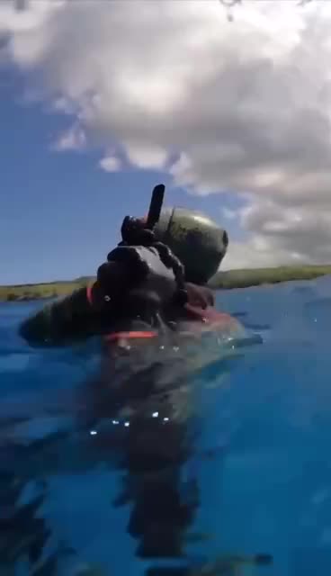 Almost getting strangled to death by an octopus