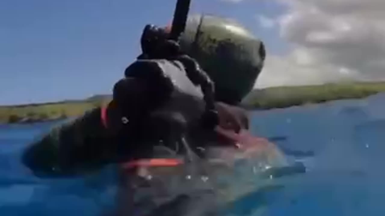 Almost getting strangled to death by an octopus