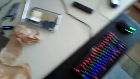 Walmart Haul Sneaker Collection and Computer Nerd B-Die RAM