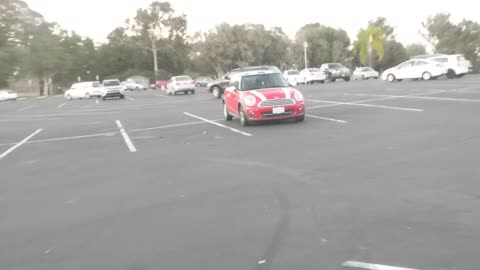 Beautiful flower is super red just like the vehicle in the Safari Park parking lot
