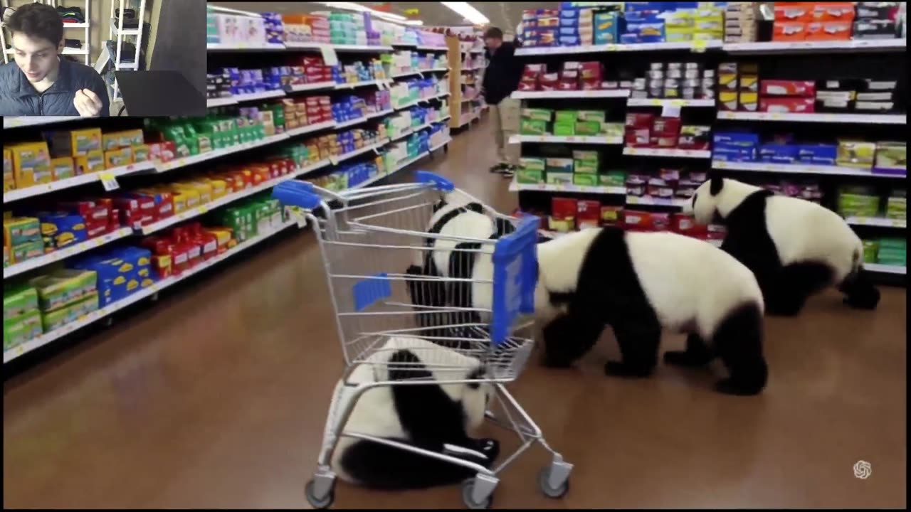 Over 5 Panda Bears Roam Around A Walmart Supercenter Fake Funny Parody Video With Live Commentary