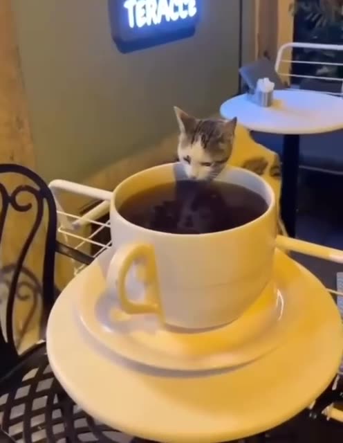 Someone needed an extra pick me up this morning