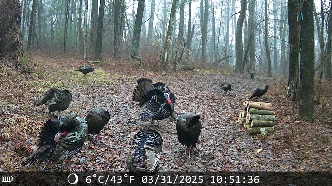 Cought on camera