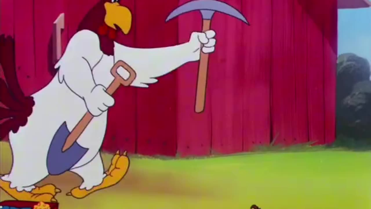 Leghorn Swoggled (1951)