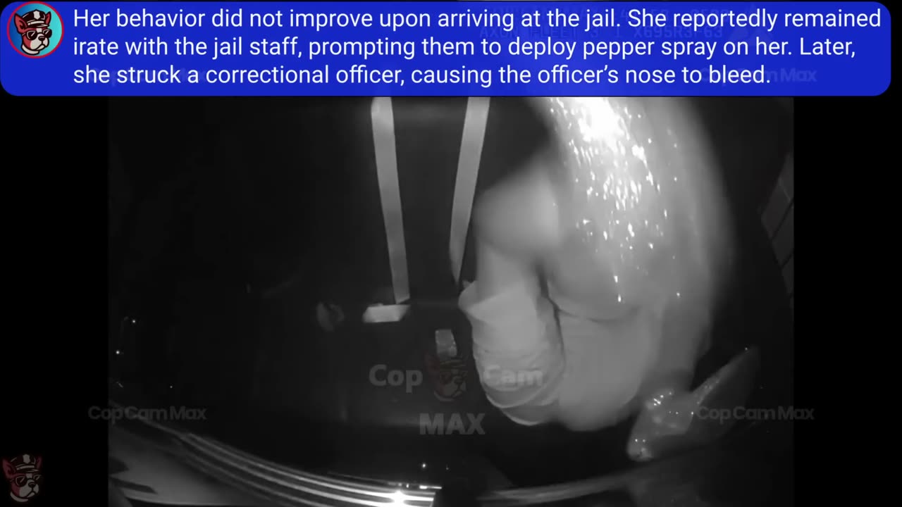 21-Year-Old Brat Loses It After Arrest -- The "Give Him a Ticket" Sequel