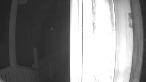 🚨😱 You Won't Believe What Mom Thought Was Outside! | FunFM