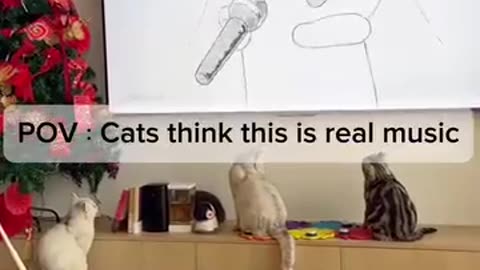 🤣🐱 Cat’s Favorite Show Has a Meowing Pop Star?! | FunFM
