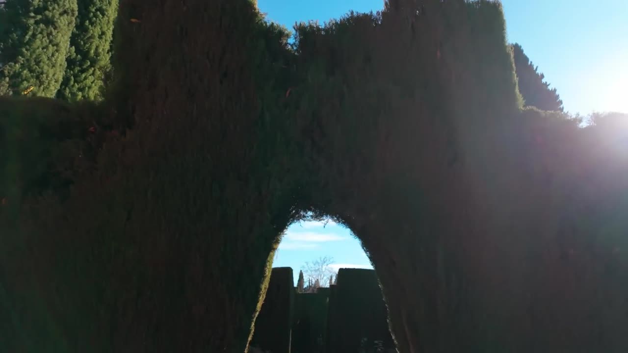 TREK Gone Wrong in Spain in Sierra Nevada