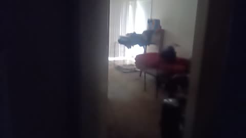 Sending To Bethany Stout, On May 16, 2020 @ 3:50PM