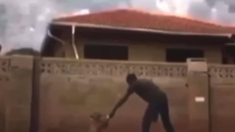 Survival of the fittest