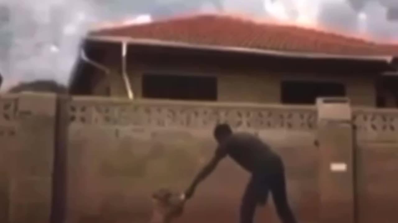 Survival of the fittest