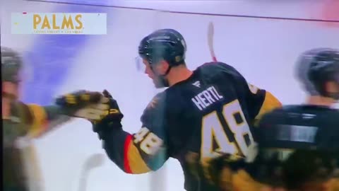 VGK C #48 Tomas Hertl 🥅(31)🏒Snap-Shot Goal💨