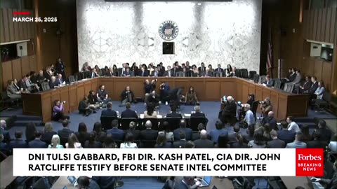 Tulsi Gabbard Questioned About Effects Of Trump's Sanctions On Iran
