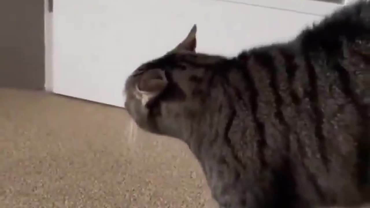 When you suddenly come face to face with your enemy.