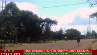 ግንቦት 27-2025 ONM-ABO እለታዊ የኦሮሞ ነፃነት ሰራዊትና የኦሮሚያ ውሎ!