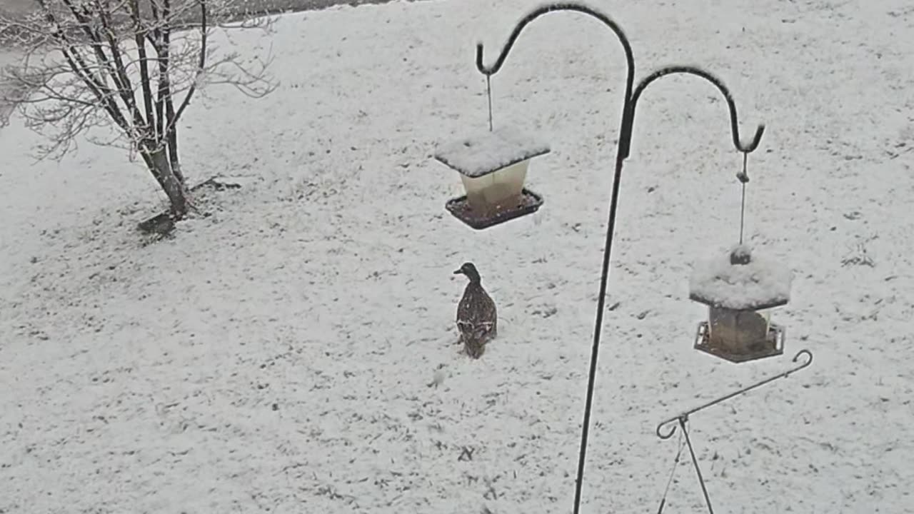 April winter