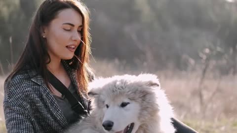 This is the Best YouTube Pets and Animals Video Ever