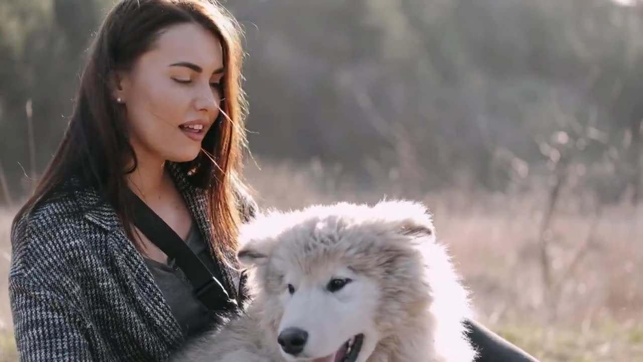This is the Best YouTube Pets and Animals Video Ever