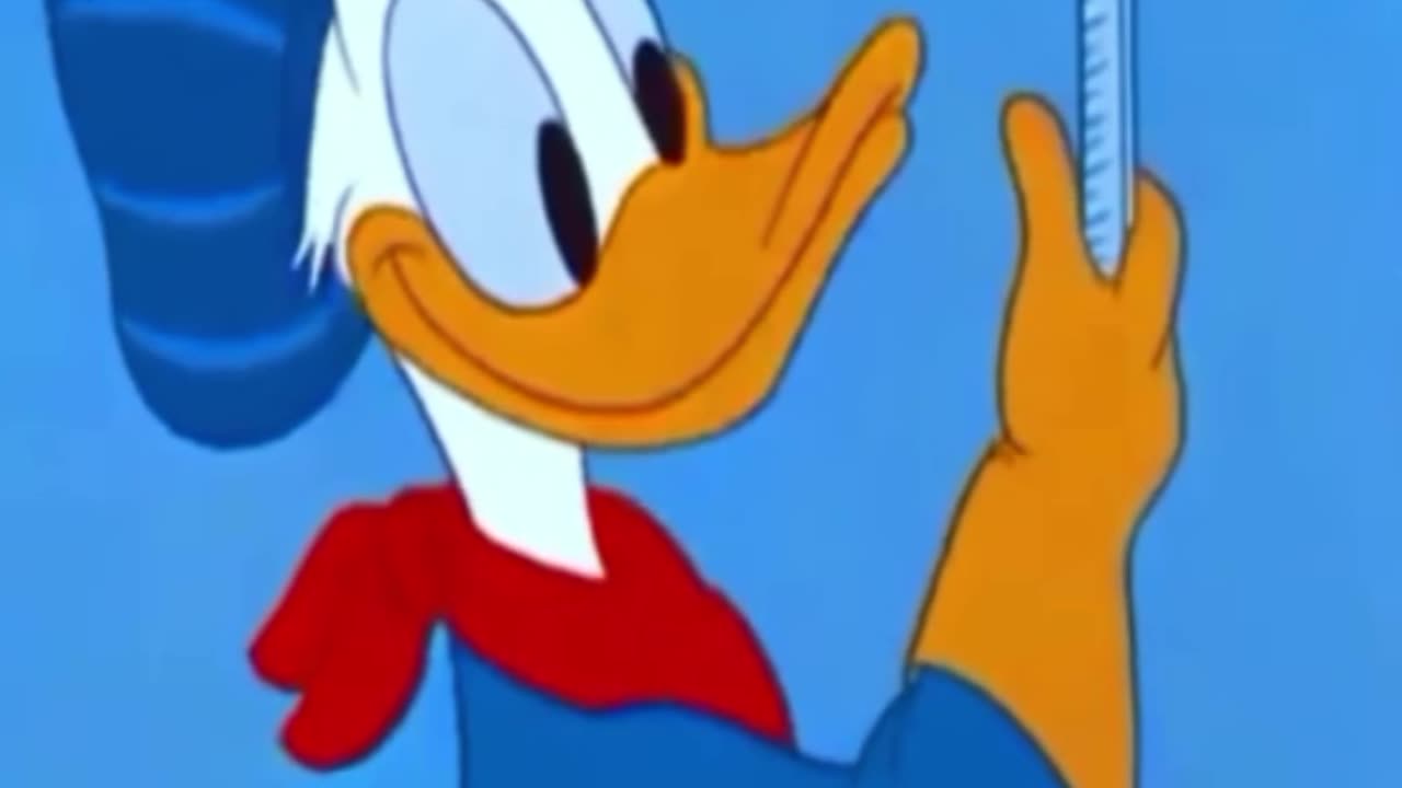 funny video funny videos new funny video tiktok funny video bangla funny video animal funny video