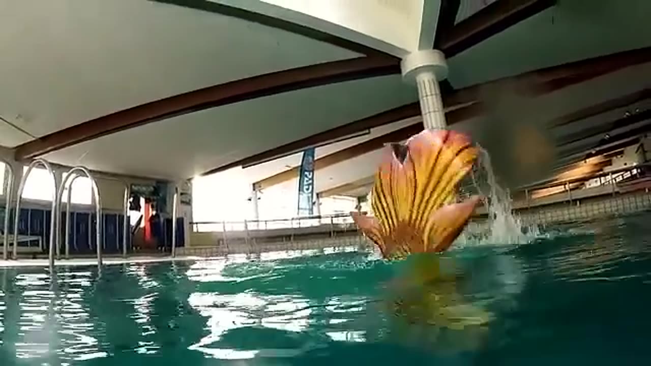 Fantastic Mermaid