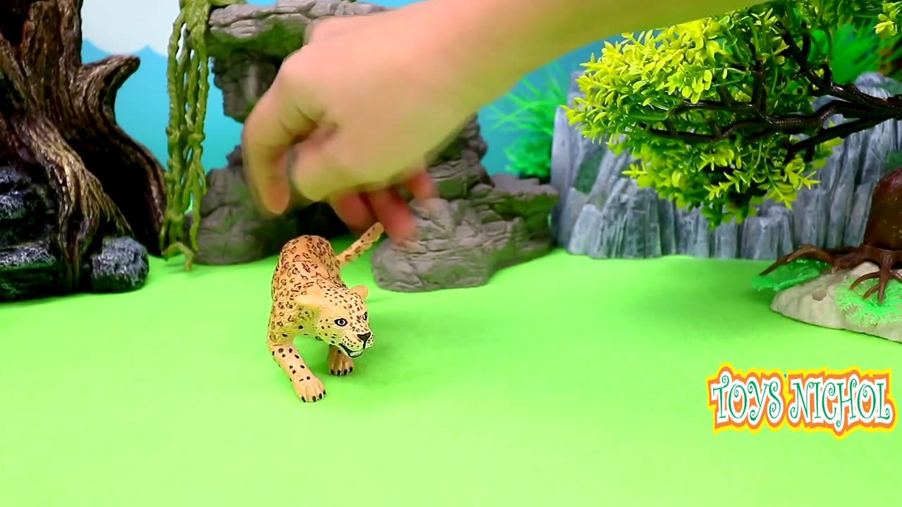 Five Leopards Form an Attack Formation on Giraffe in the Distance