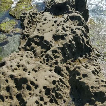 ROCKY WALK - WAVES and SUNSHINE With a dash of Birds - 2025 #beach #shorts #nature OCEAN