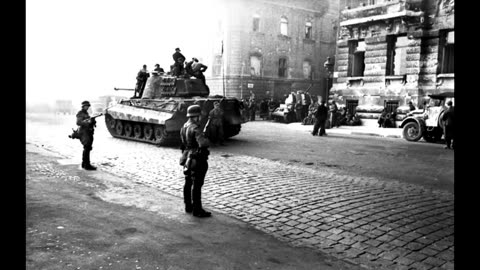 The Irish Waffen SS Volunteers