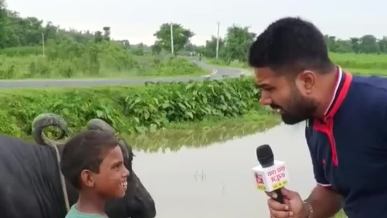 Funny video