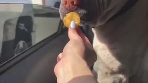 Top 5 astonishing moments that humans didn't knew