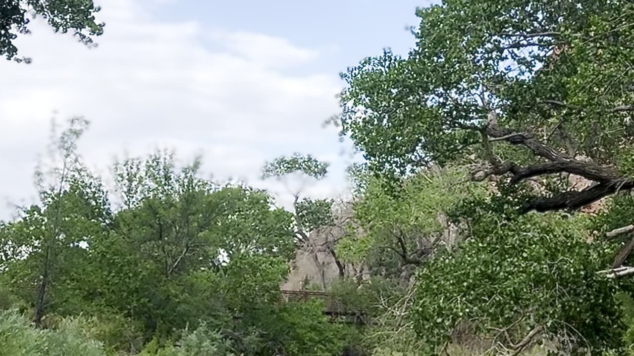 Gentle & Relaxing Natural River Stream Sounds at Zion National Park, Virgin River