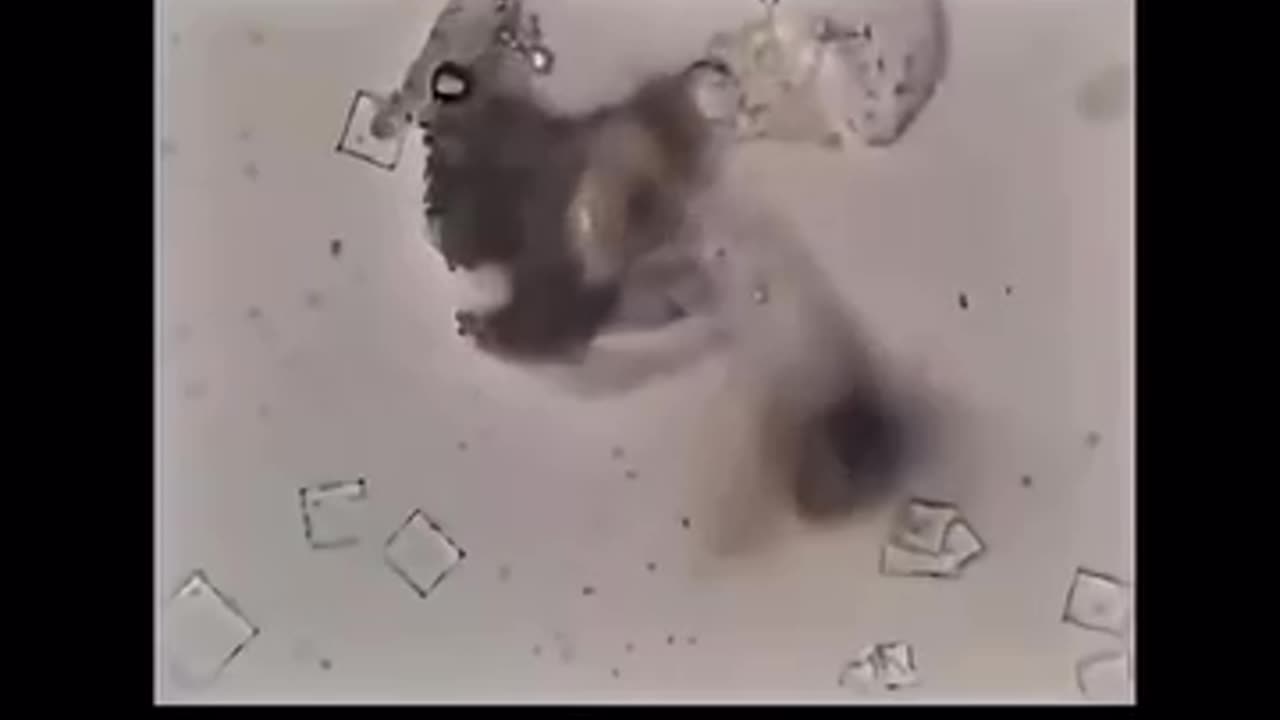 NICOTINE DISTROYS NANOTECH