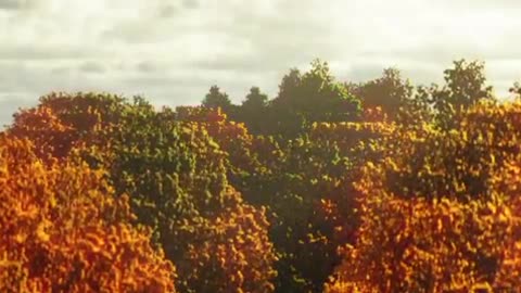 Trending: This is Minecraft (Distant Horizons 2.0)