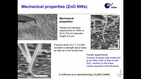 (2018) Nanomaterials for Nanosensors: Opportunities and Sensors IEEE SENSORS