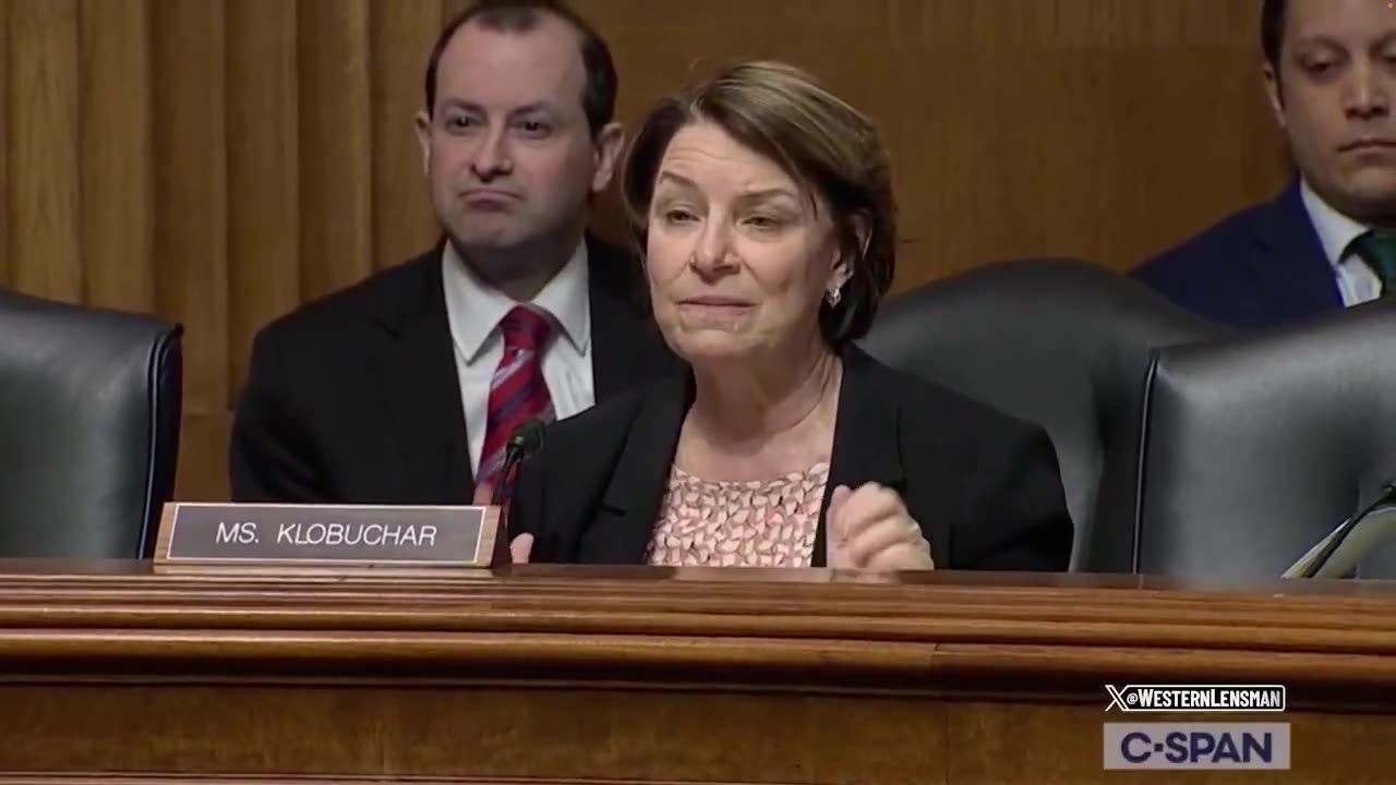 Amy Klobuchar gets wrecked when trying to get witness to criticize Trump