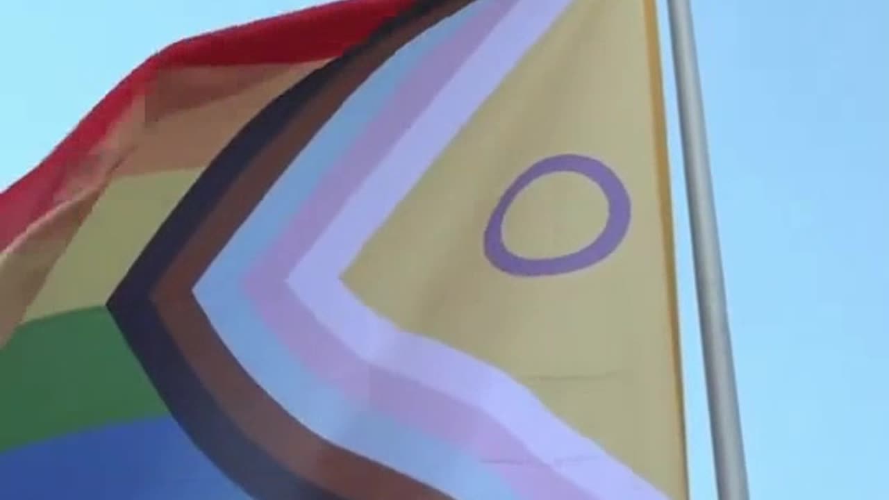 wtf levels of gay