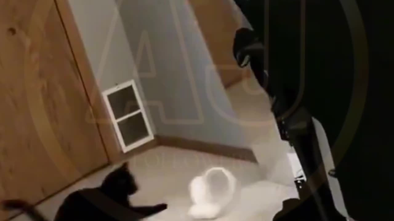 Funny video