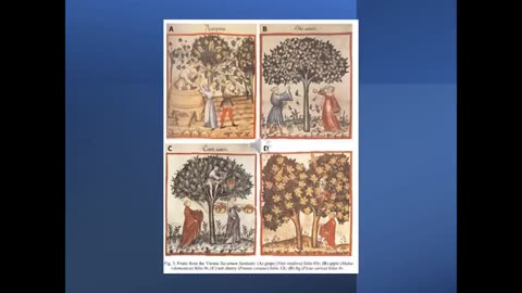 Agri Art 1 Tacuinum Sanitatis
