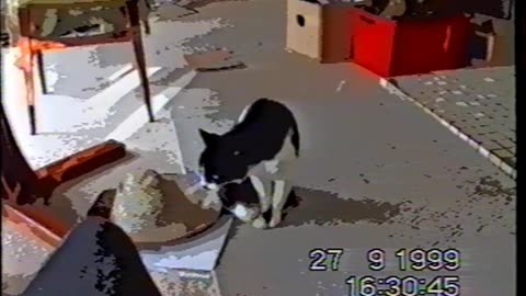 1999 9 27 4pm