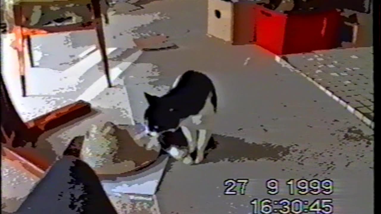 1999 9 27 4pm