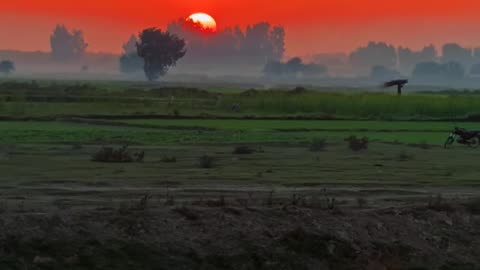 Sunset View From My Village ❤ #maxrecords #villagelife #larkana #sindh #pakistan