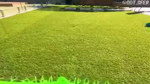 Trending: Try not to Laugh ❗ | 305 #funny