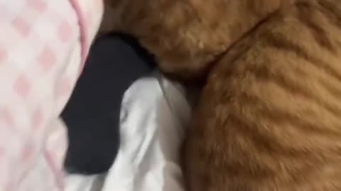 Natural Foot Warmers