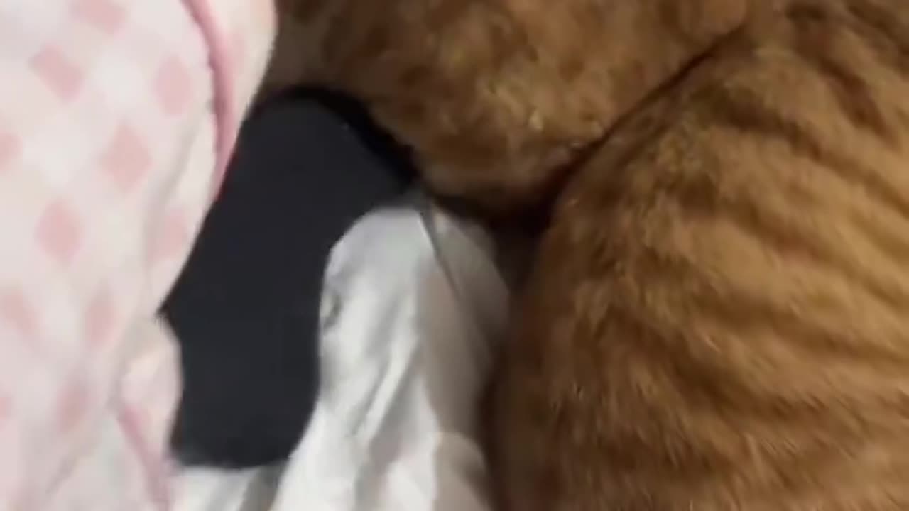 Natural Foot Warmers