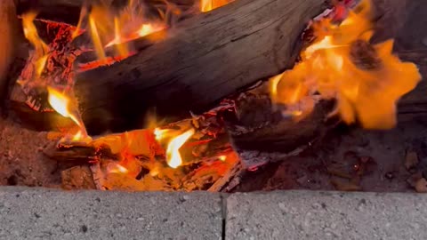 Warm & Cozy 🔥 Bonefire