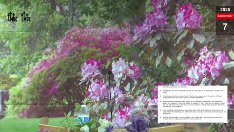 7 September 2025 Sunday Evening Service