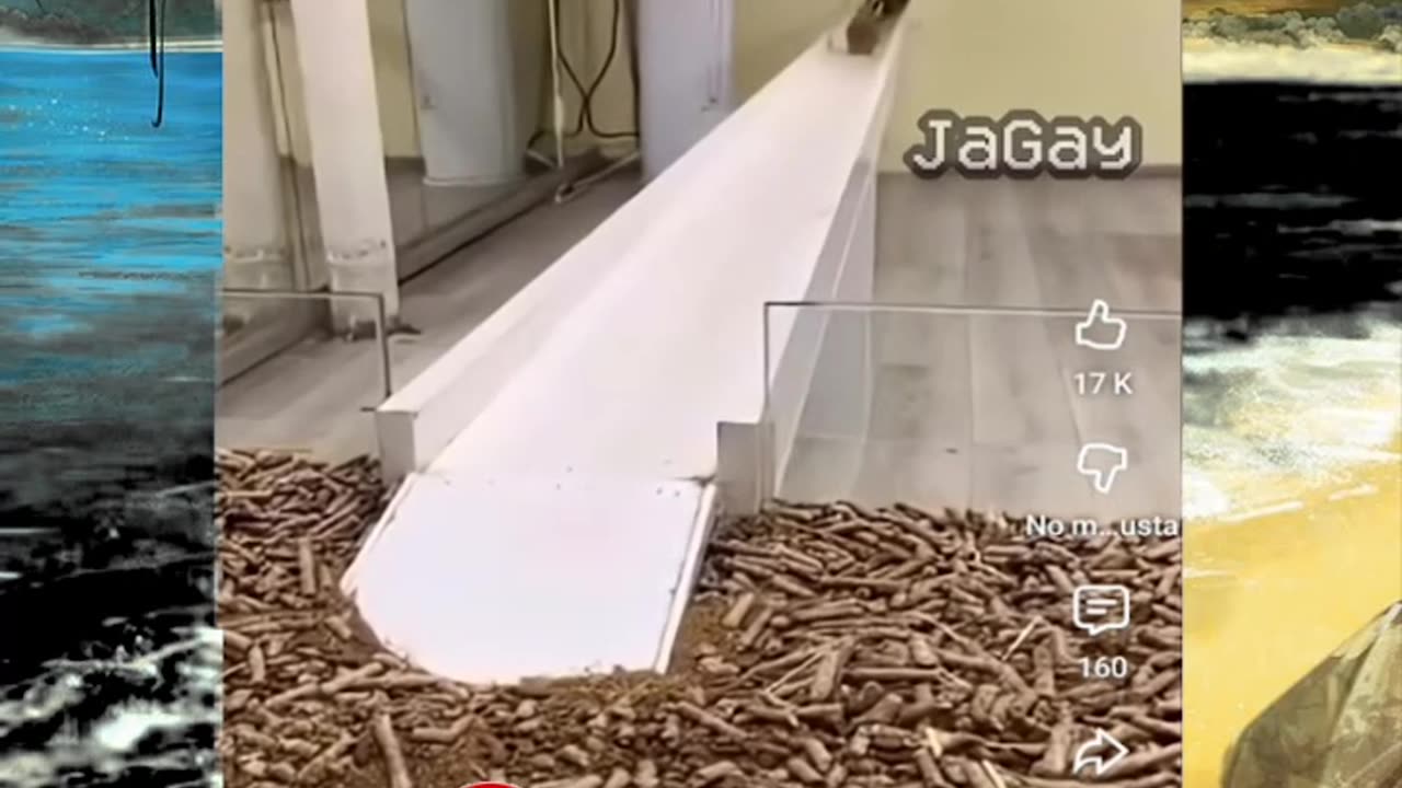 Just shorts videos - Follow 😜😋!!!!!!!