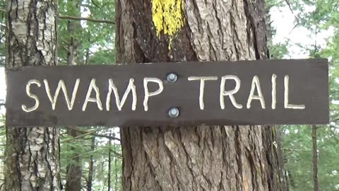 Swamp Trail