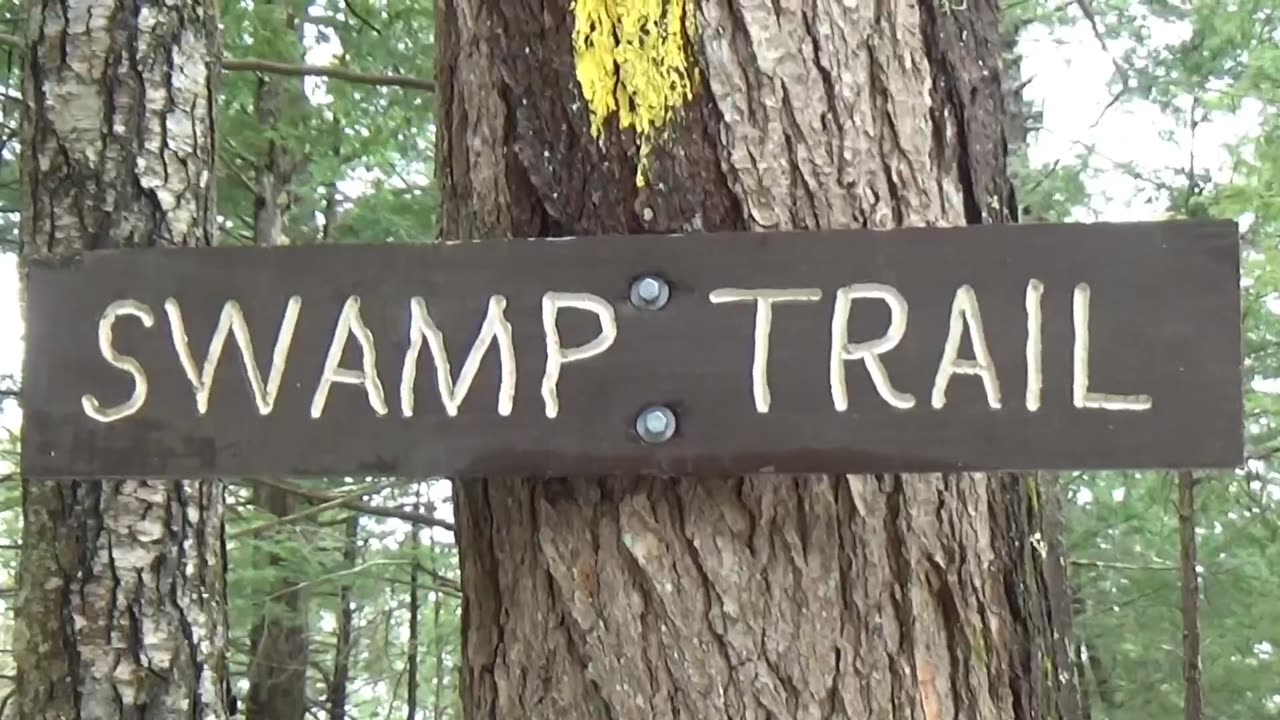 Swamp Trail