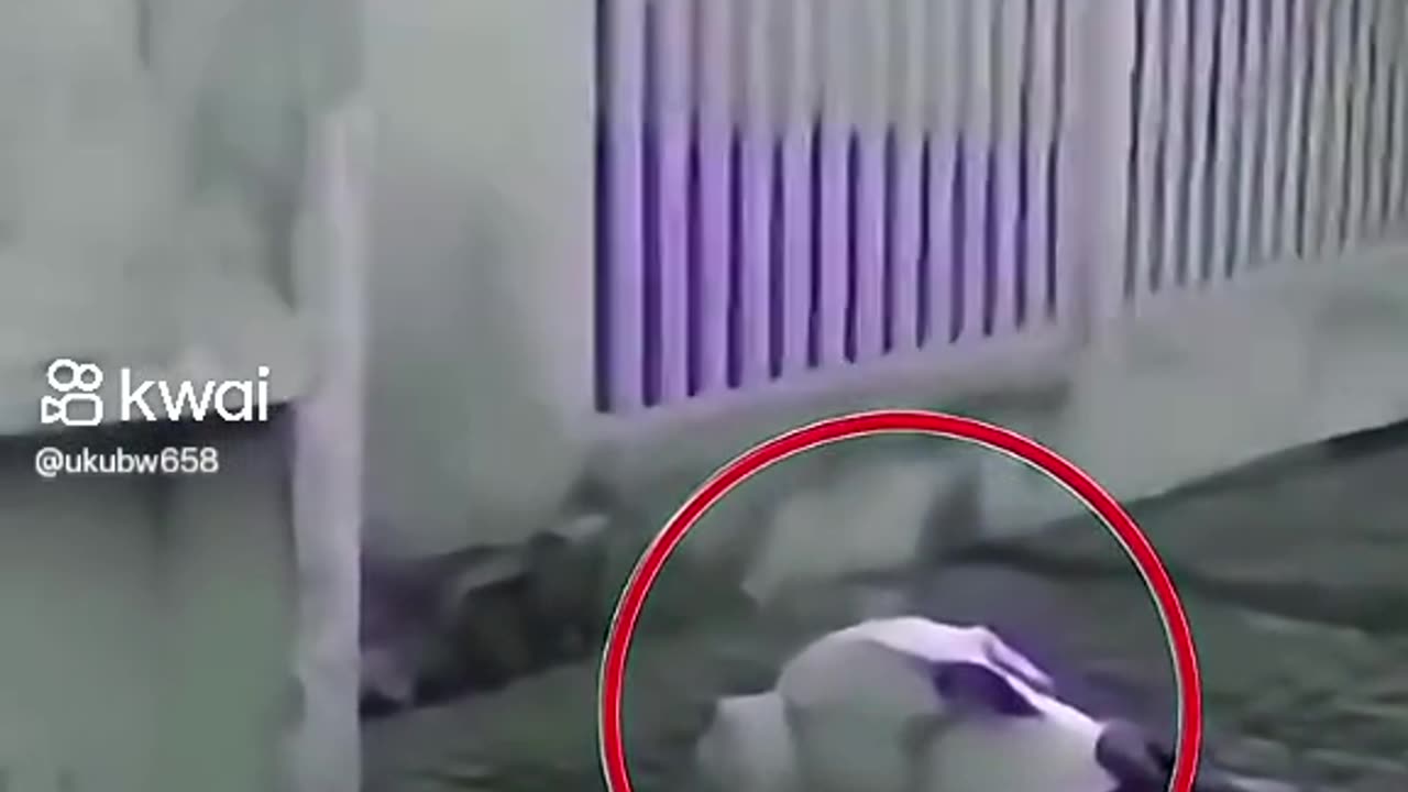 Si te gusto sigueme para mas..
