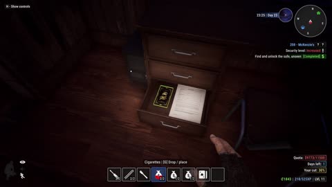 Beating The Game Then Doing Another Run